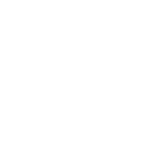 40 years of experience